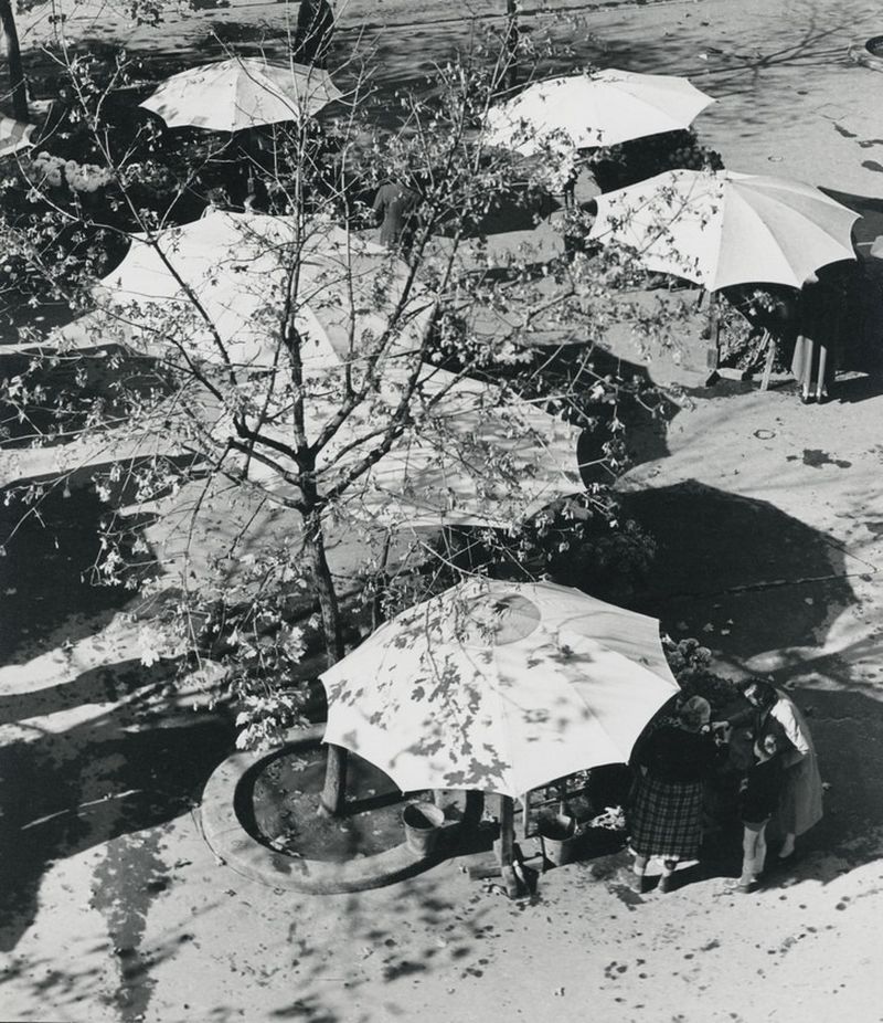 Trg Petra Preradovića 1961. godine